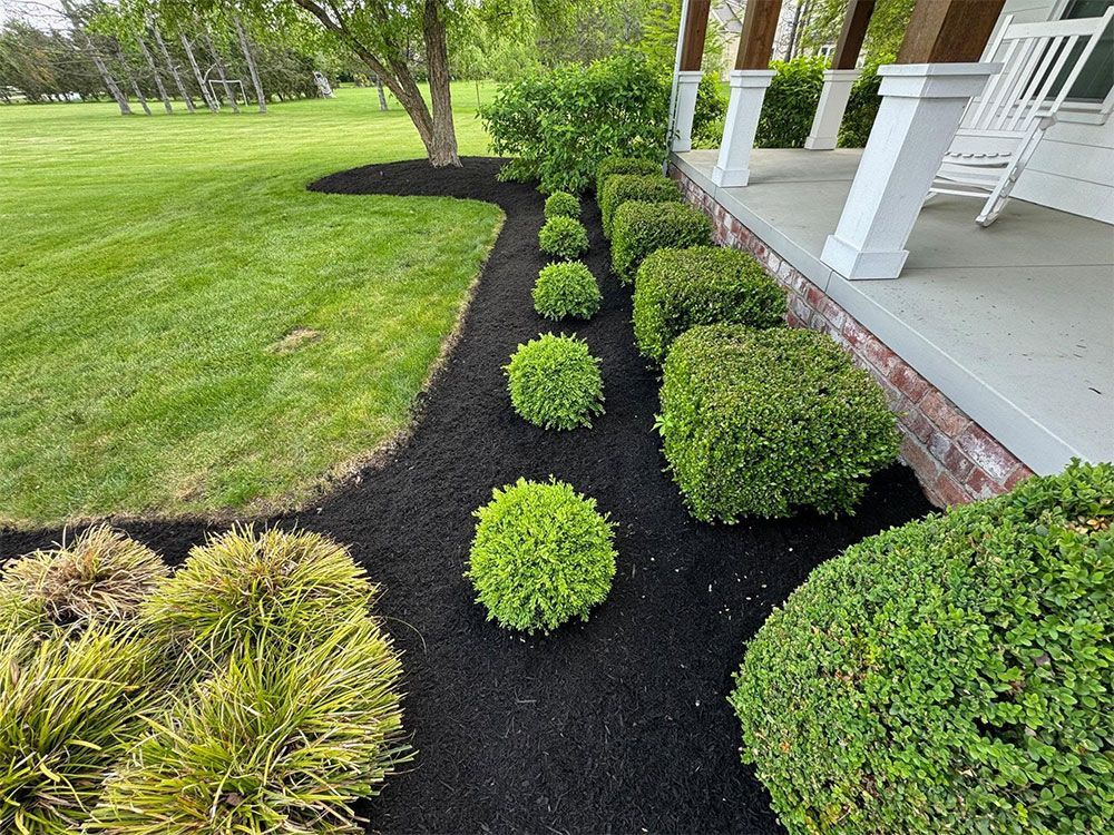 Landscaped garden bed with neatly trimmed shrubs and black mulch beside a porch and green lawn