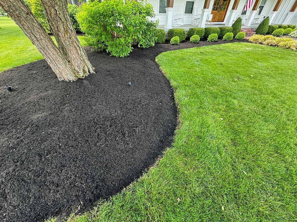 Landscaped yard with fresh black mulch around a tree and green lawn beside a house