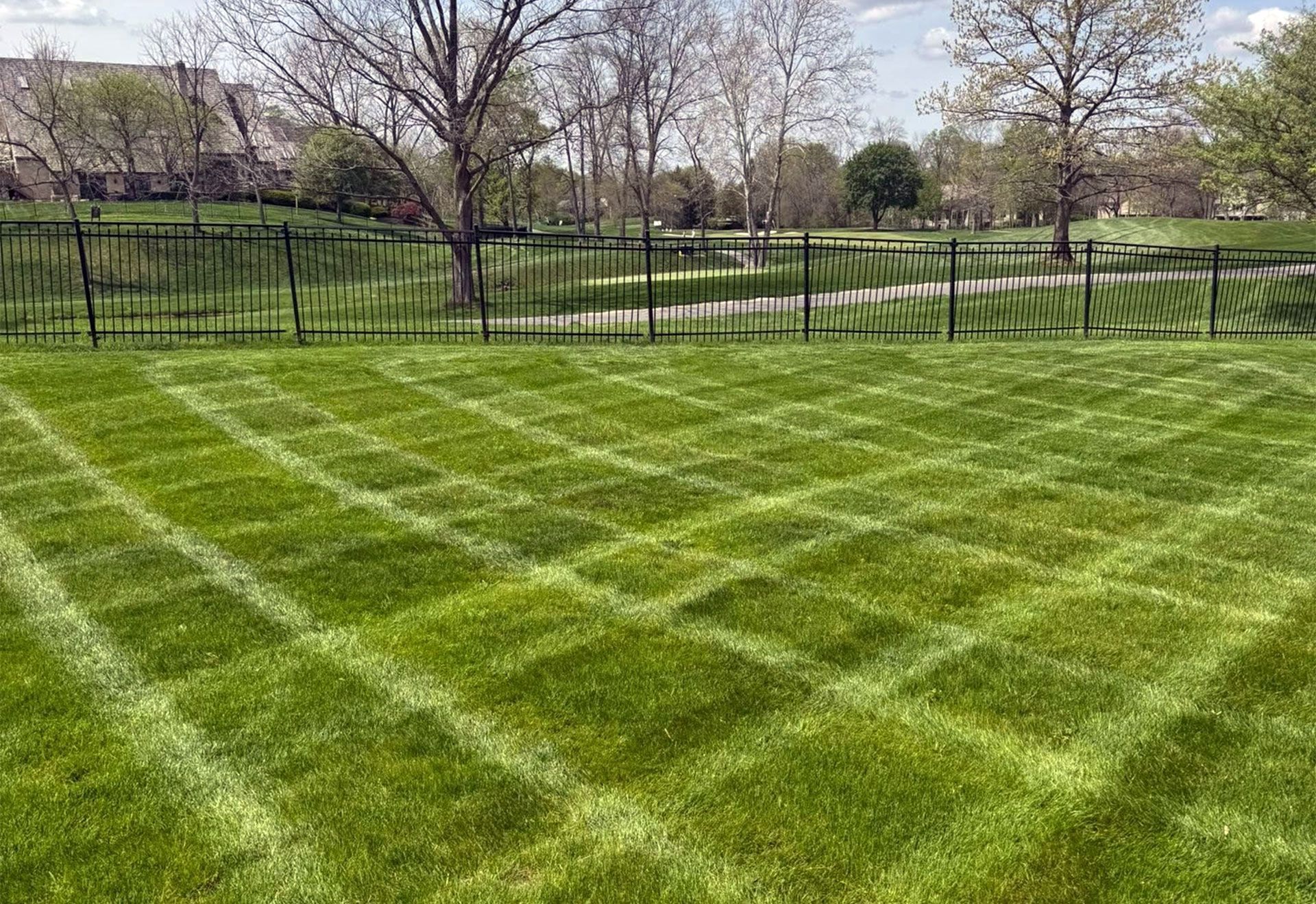 Grassy park lawn with diagonal mowing stripes beside a black fence and leafless trees.