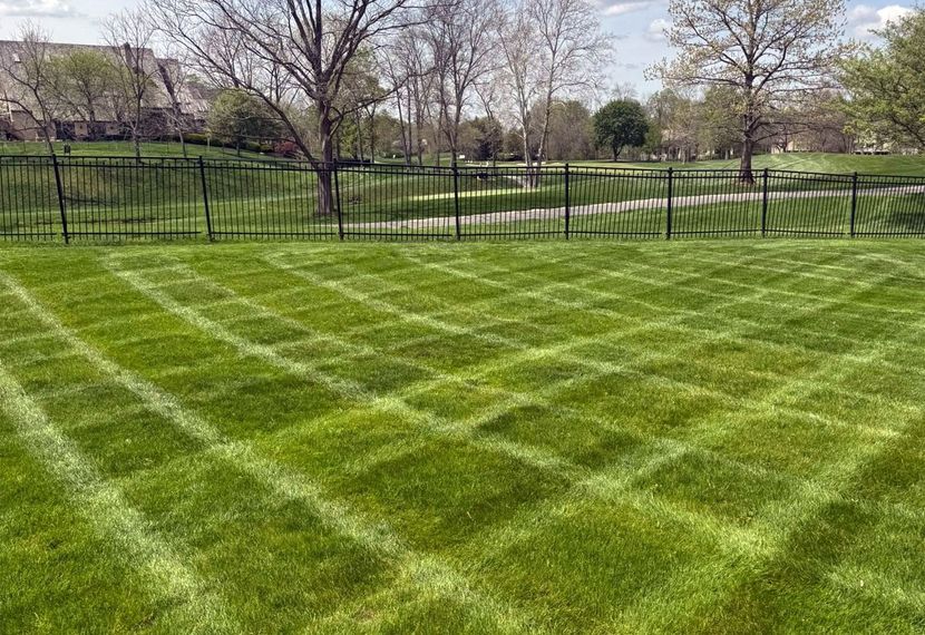 Grassy park lawn with diagonal mowing stripes beside a black fence and leafless trees.