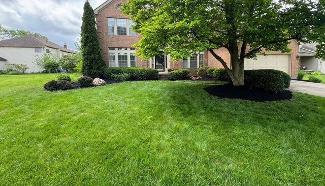 Suburban house with a brick facade, large green lawn, and a mature tree in the front yard