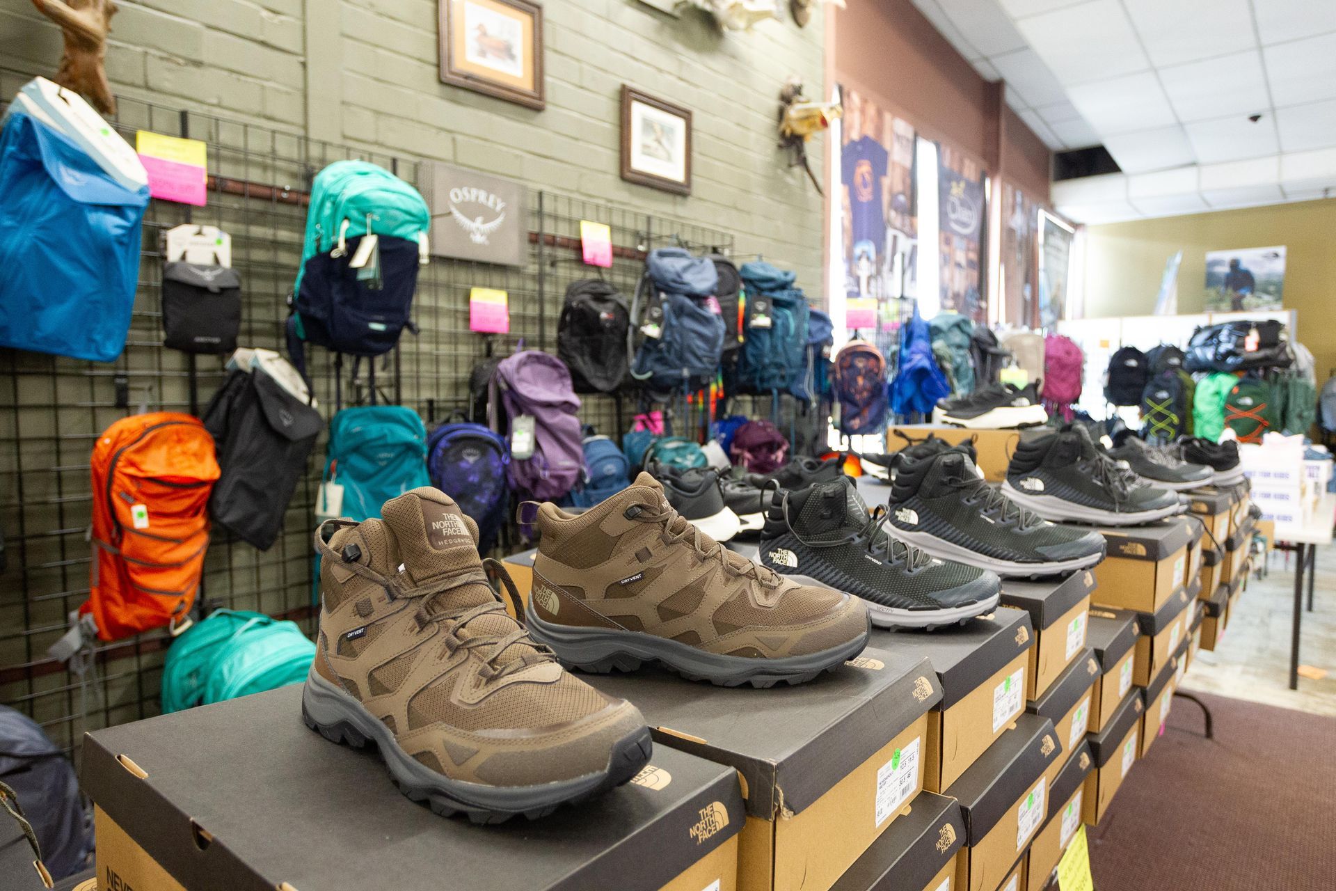 Hiking boots displayed on boxes in an outdoor gear store, with backpacks hanging on a wall in the background.