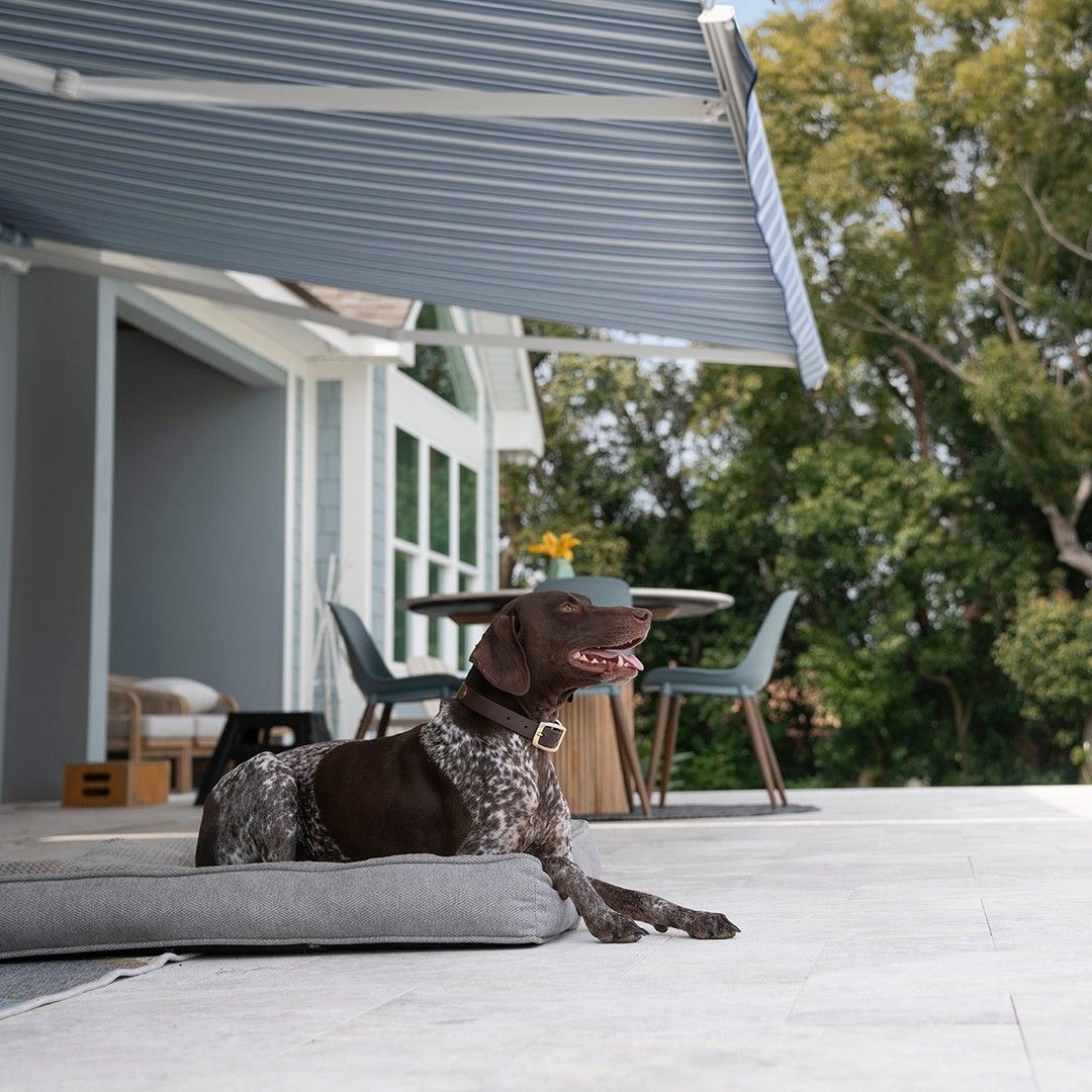 A dog is laying on a dog bed on a patio under an awning.
