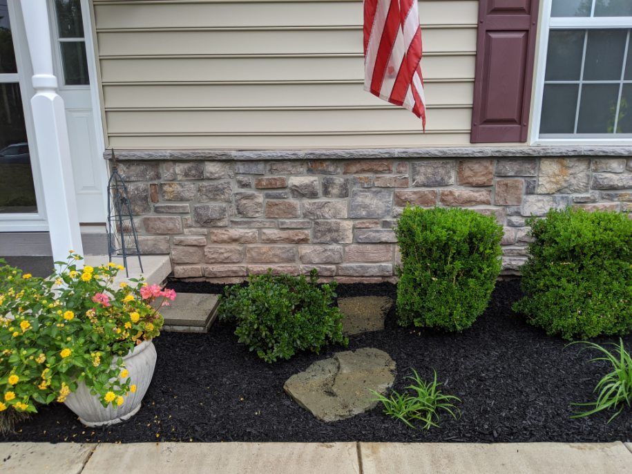 Landscape Design Services #34