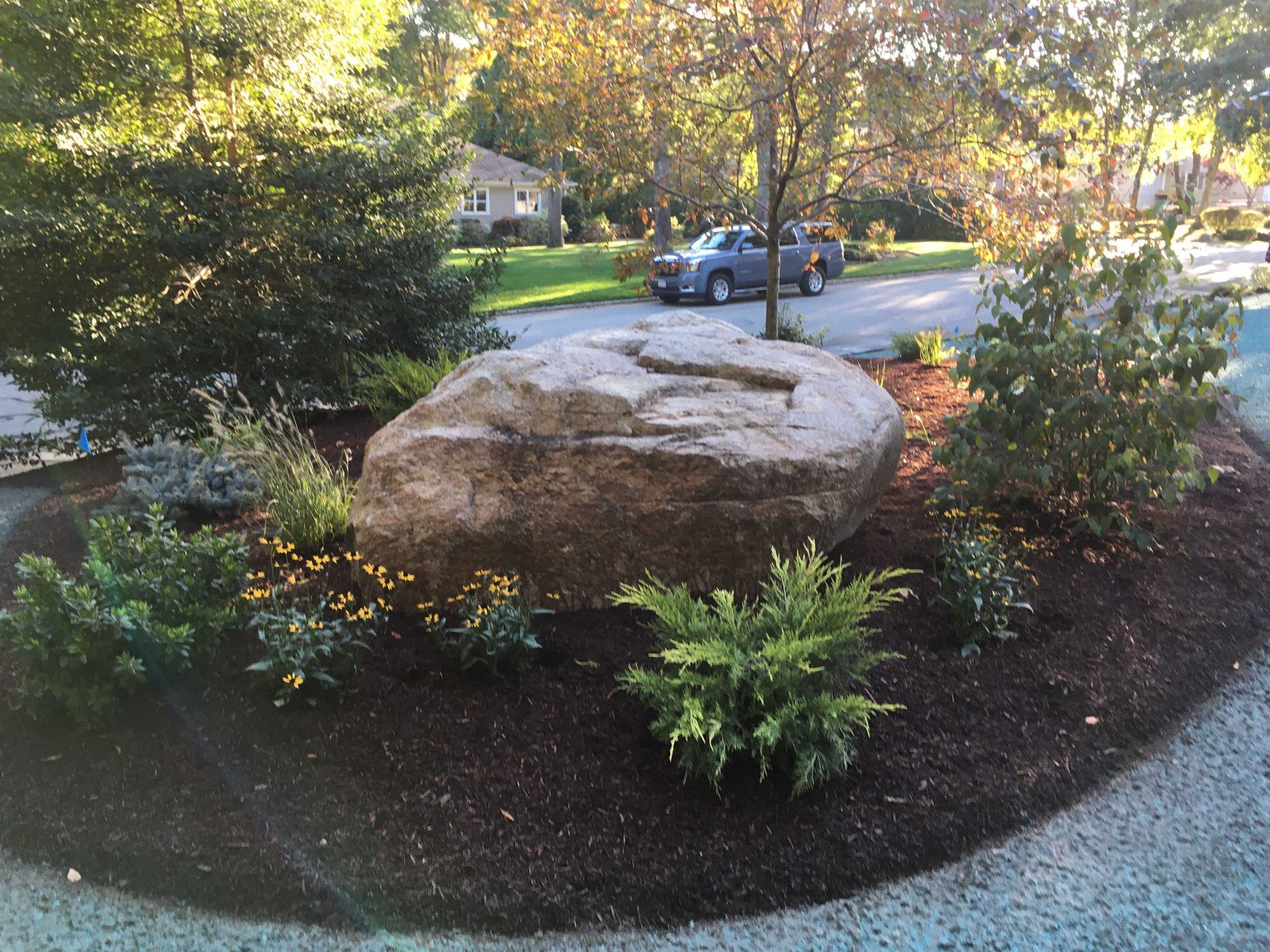 A large, light brown decorative rock sits in a garden bed of dark mulch, surrounded by small green shrubs and flowers.
