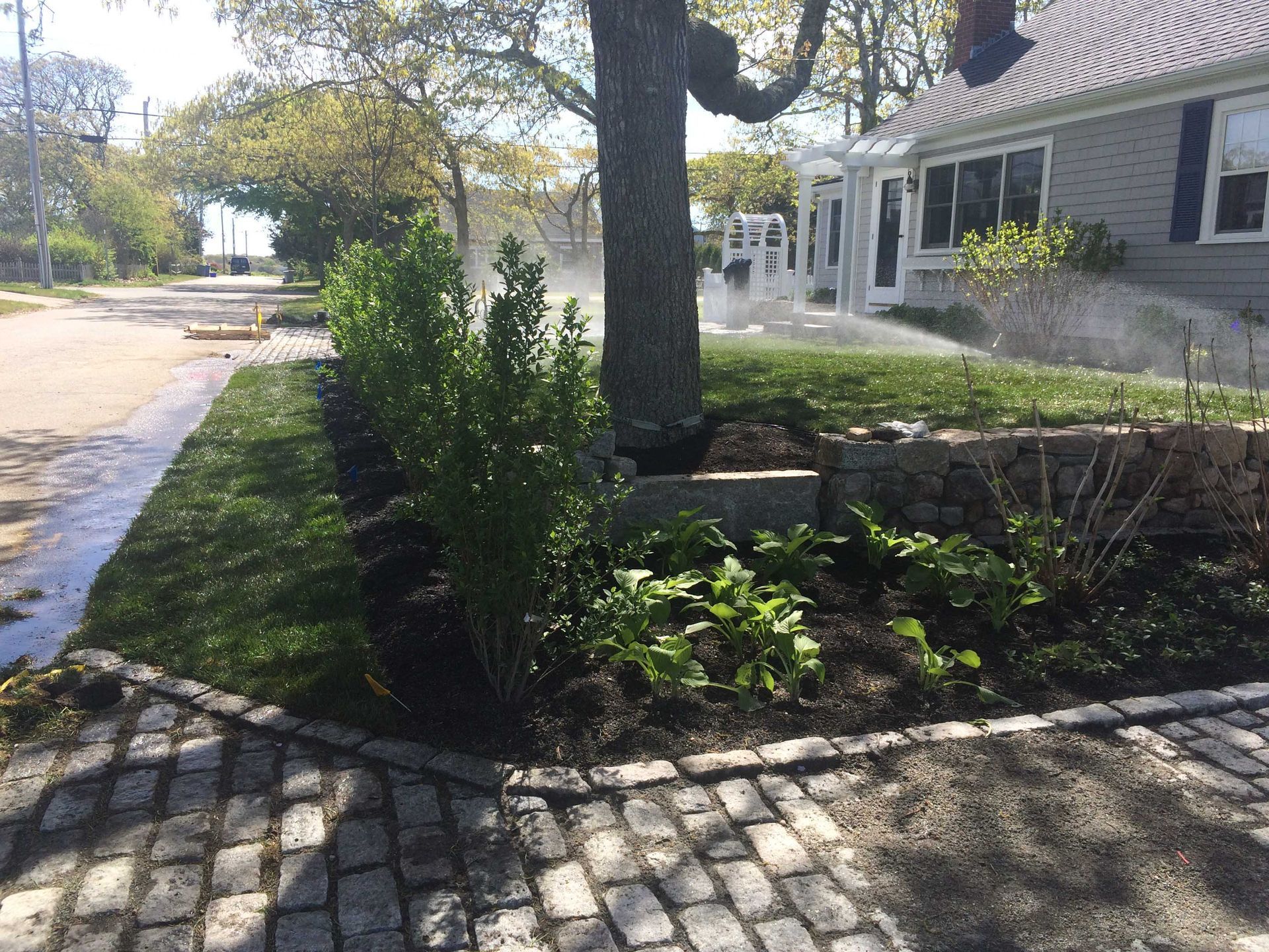 A cobble-edged garden bed with green shrubs and low plants sits in front of a tree and a house with a lawn sprinkler.