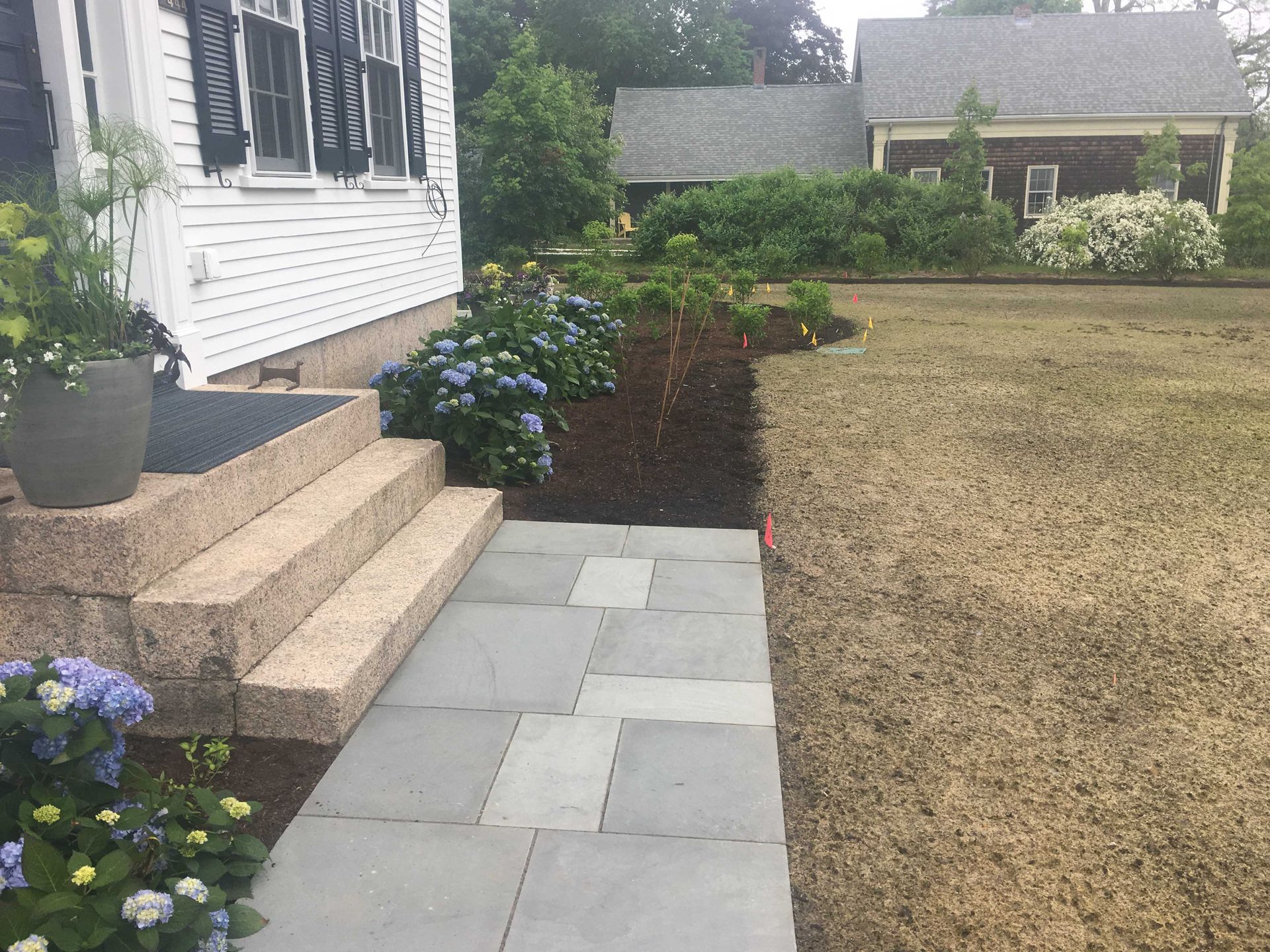 A grey stone walkway leads to concrete steps at a white house with blue hydrangeas and mulched garden beds beside a lawn.