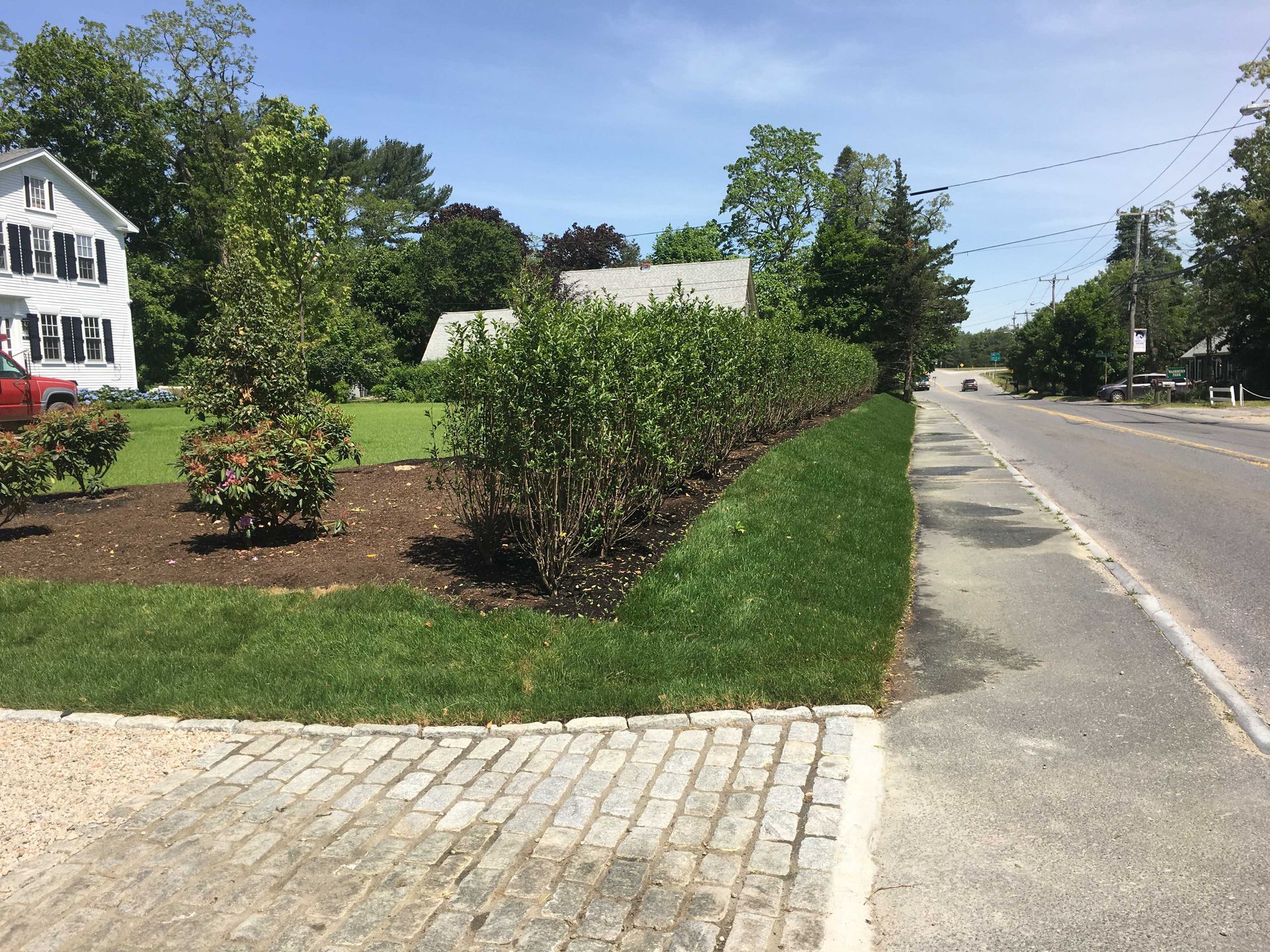 A residential front yard features a mulched garden bed with shrubs bordering a sidewalk along a sunny, paved street.