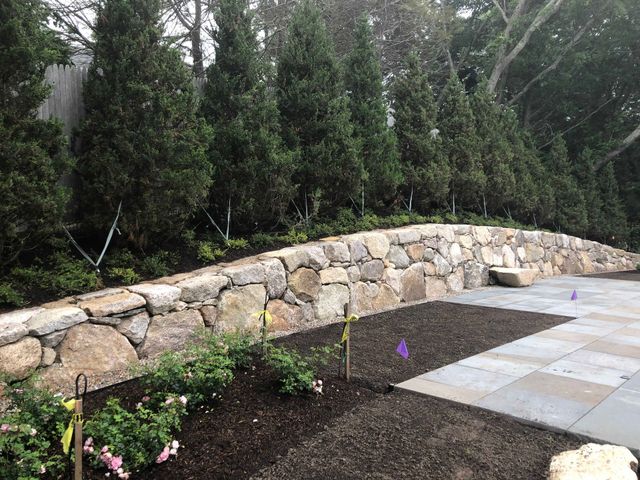A stone retaining wall curves along a garden bed featuring young trees and pavers under a bright sky.