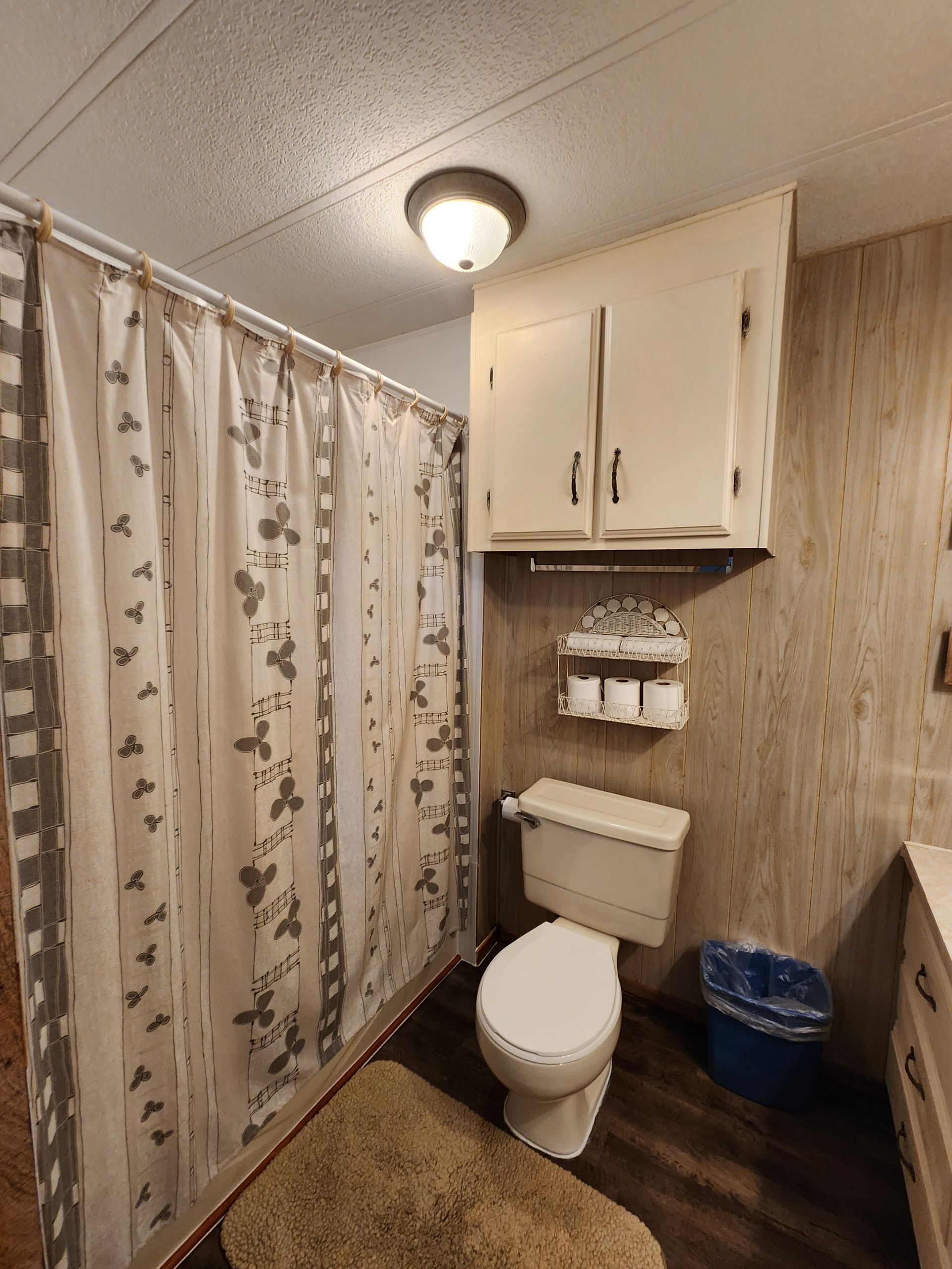 A bathroom with a toilet and a shower curtain