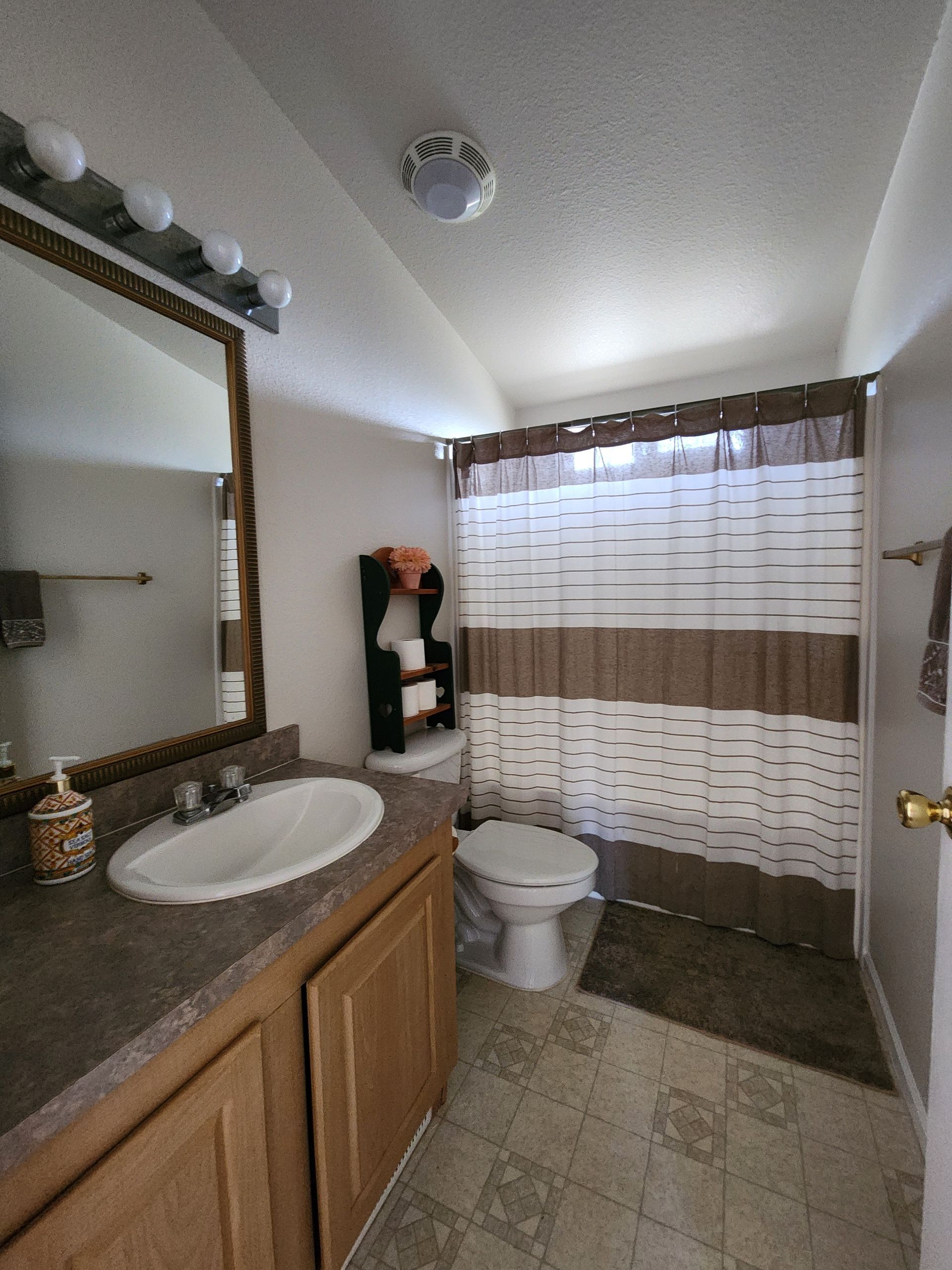 A bathroom with a toilet , sink , mirror and shower curtain.