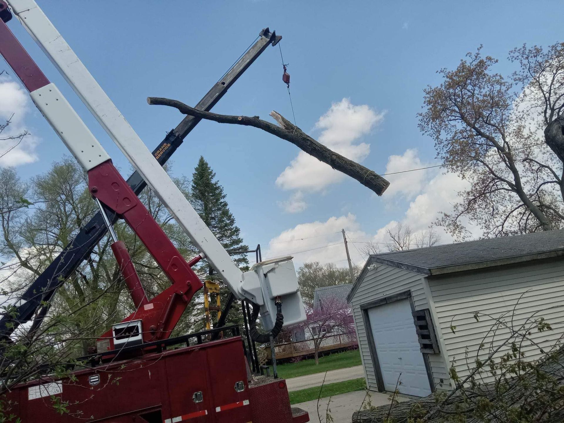 Tree Removal | Sterling, IL | T&S Tree Service