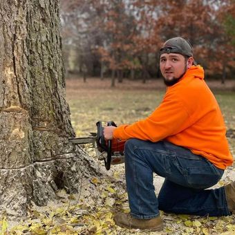 Tree removal