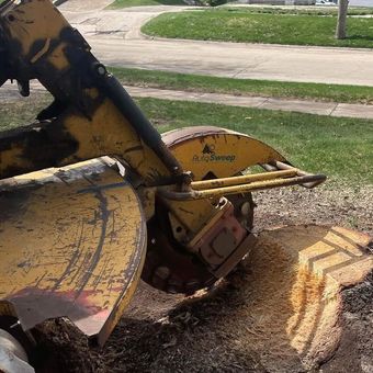 Stump grinding