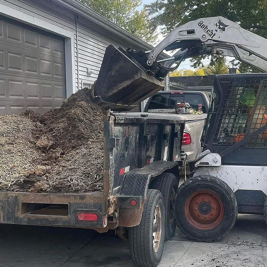 Tree Trimming Service | Prophetstown, IL | T&S Tree Service