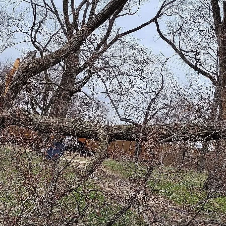 Emergency Storm Cleanup | Grand Detour, IL | T&S Tree Service