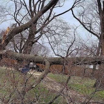 Emergency Storm Cleanup