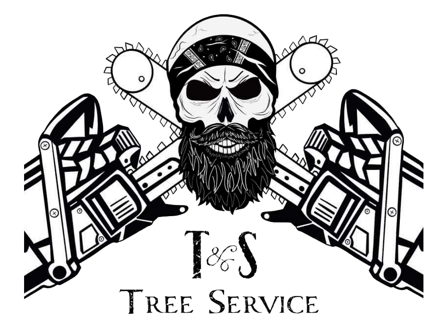 T&S Tree Service - Logo