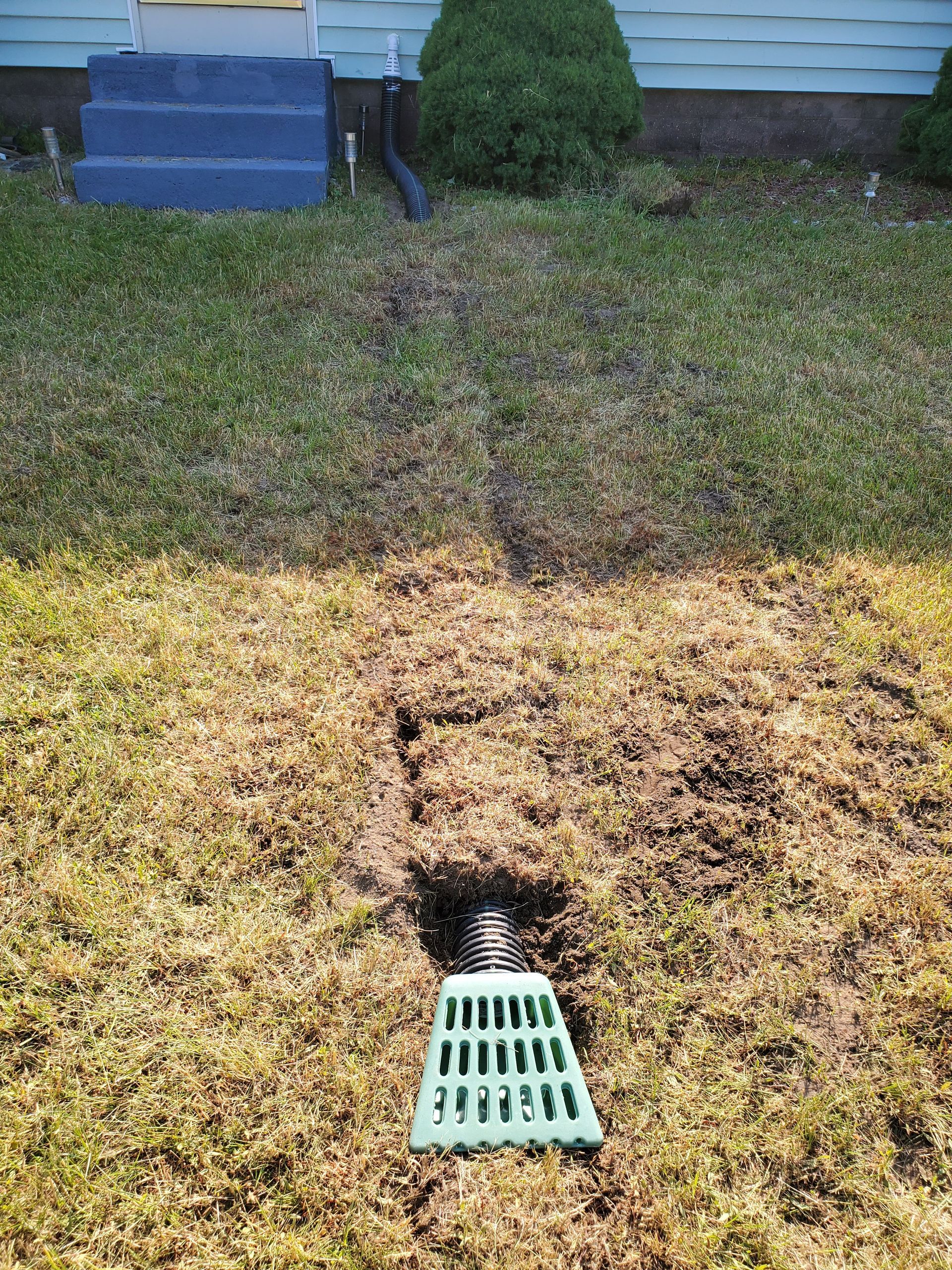 A drain is sitting in the middle of a lush green lawn.