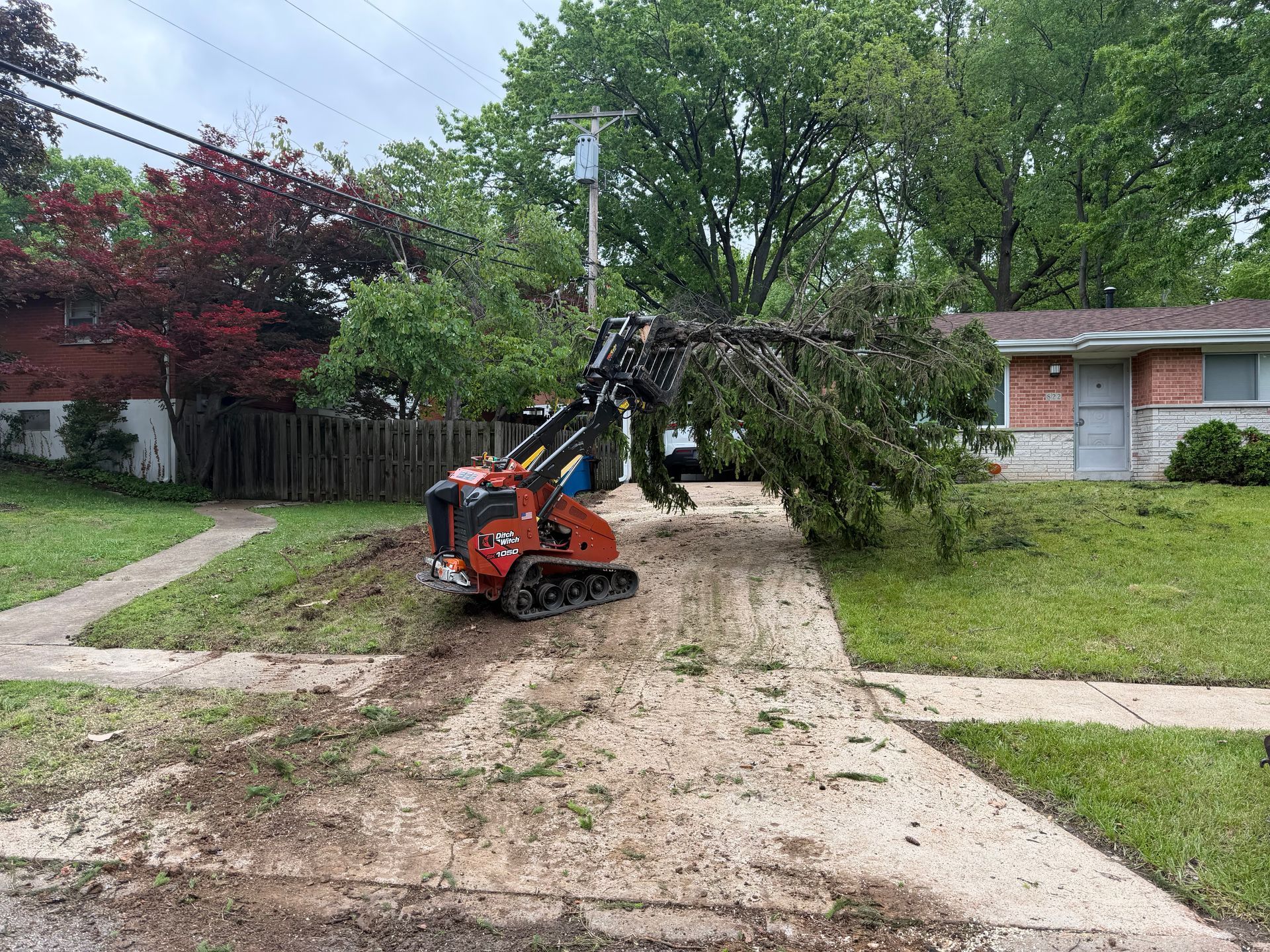 Orange mini excavator clearing a fallen tree limb from a driveway in a suburban yard