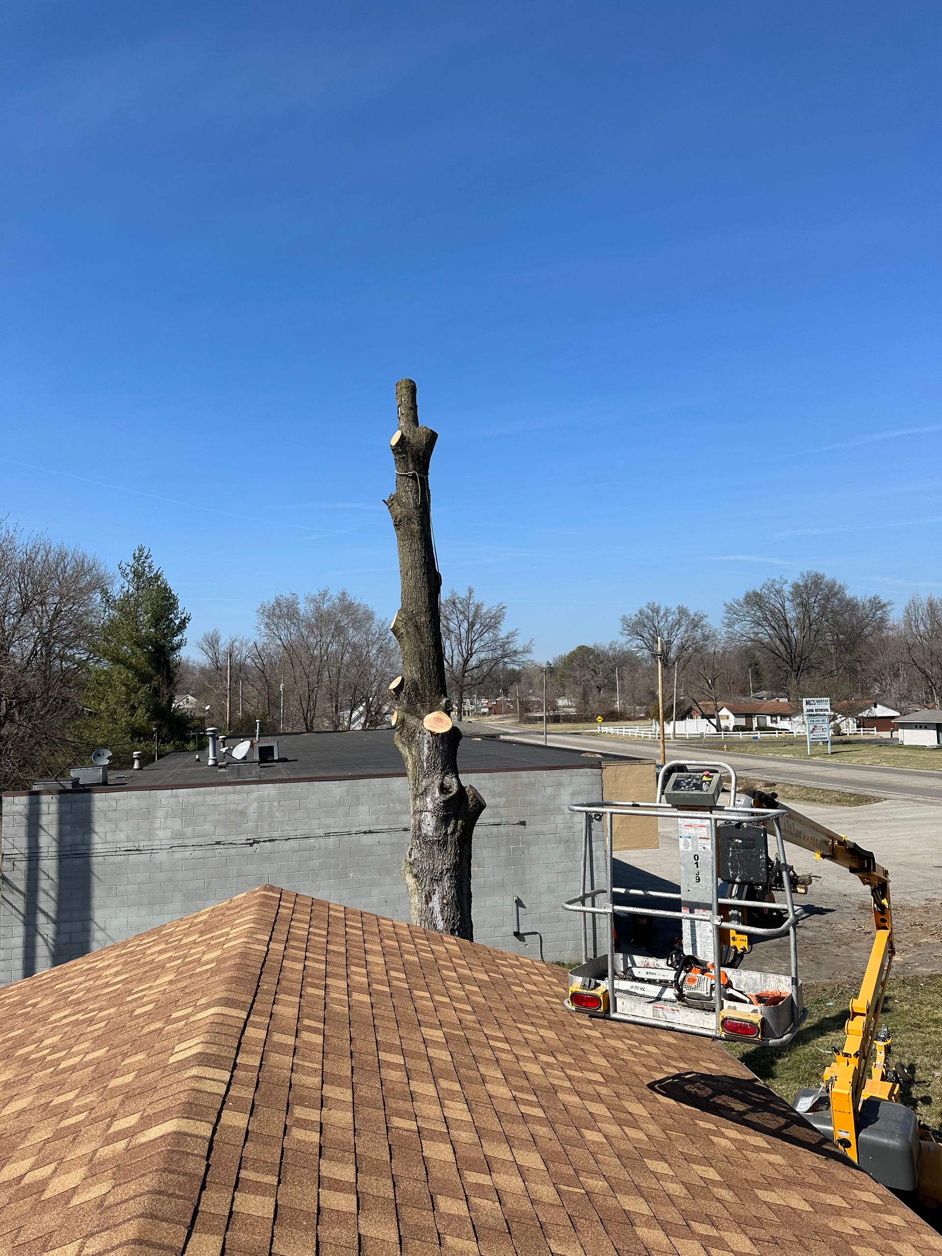 Tree stump on a construction site beside a roof with a blue sky overhead