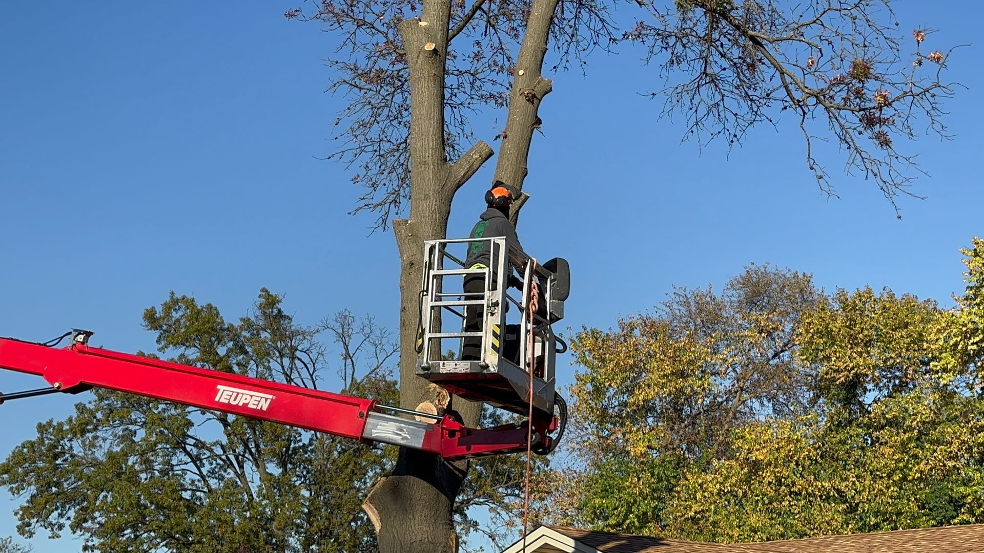 Worker in a cherry picker trimming a tree branch against a blue sky