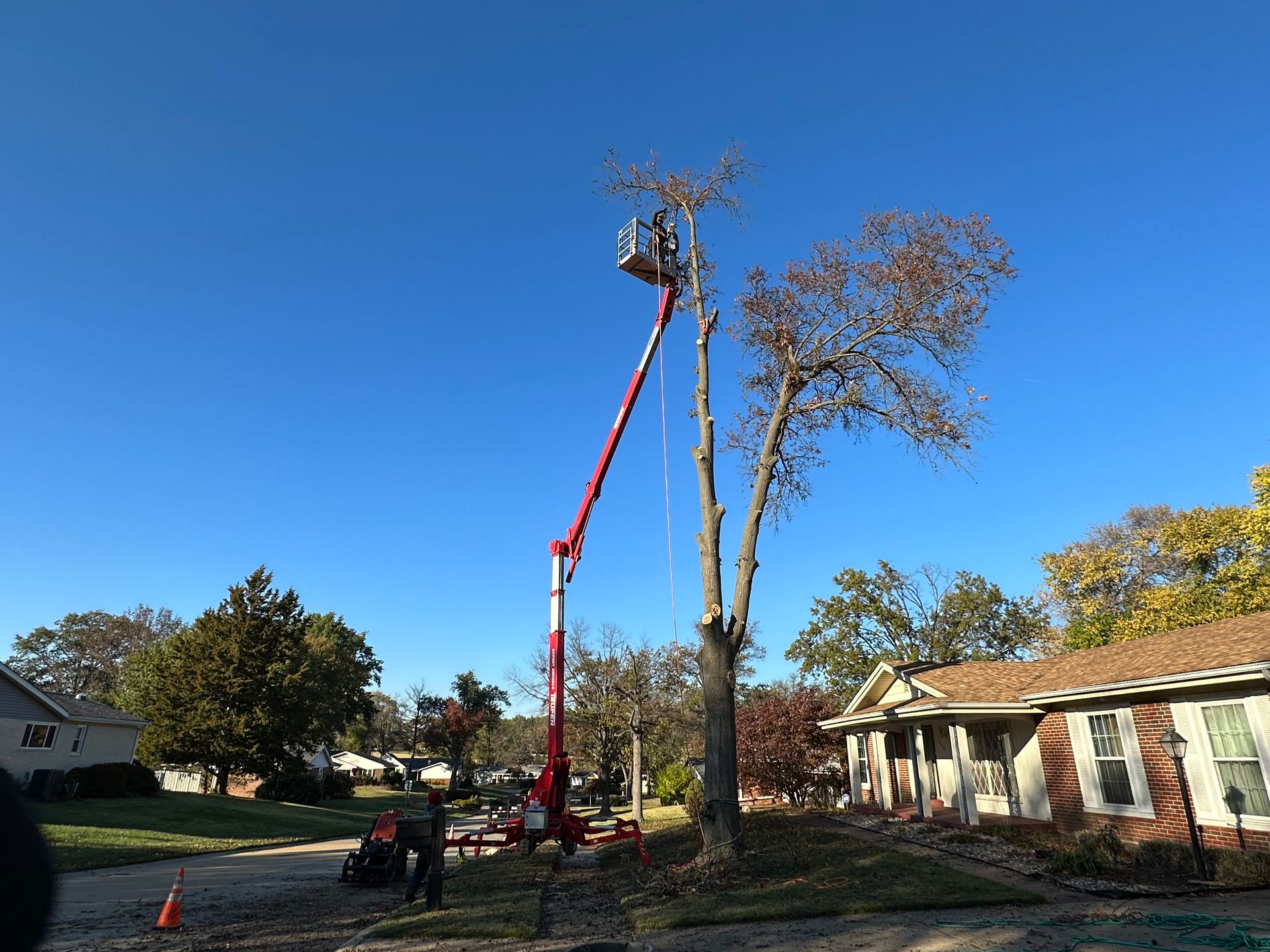 Tree trimming crew in a bucket lift pruning a tall tree beside a house on a sunny day