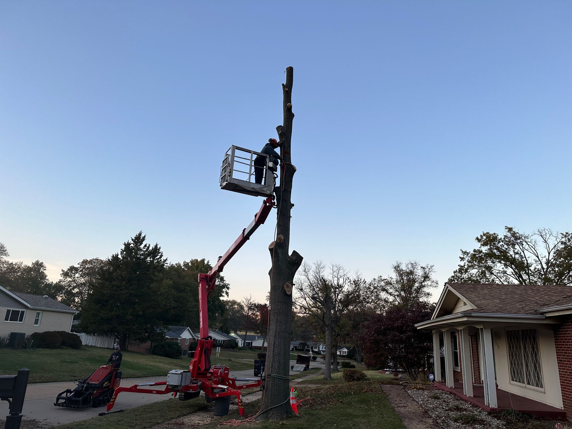 Cherry picker lifting a worker to trim a tall tree in a suburban yard at sunset
