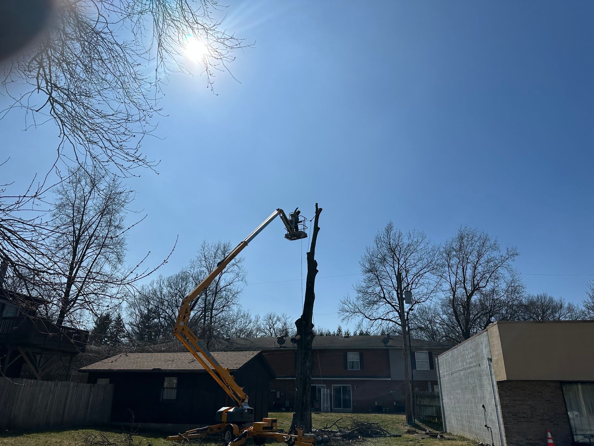 Cherry picker lifting a person to trim tall tree branches in a suburban yard on a sunny day