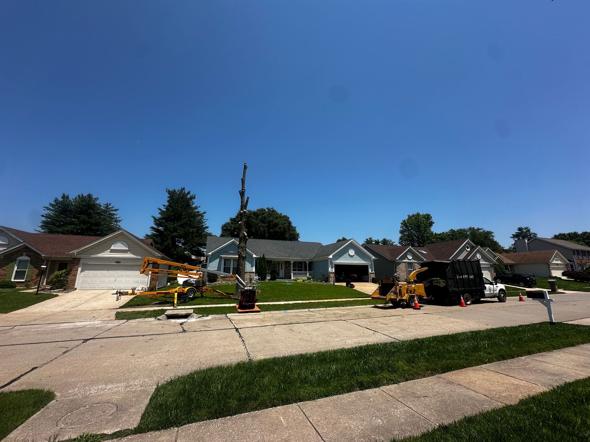 Suburban street with single-family houses and a large tree being cut down, debris and workers on the lawn