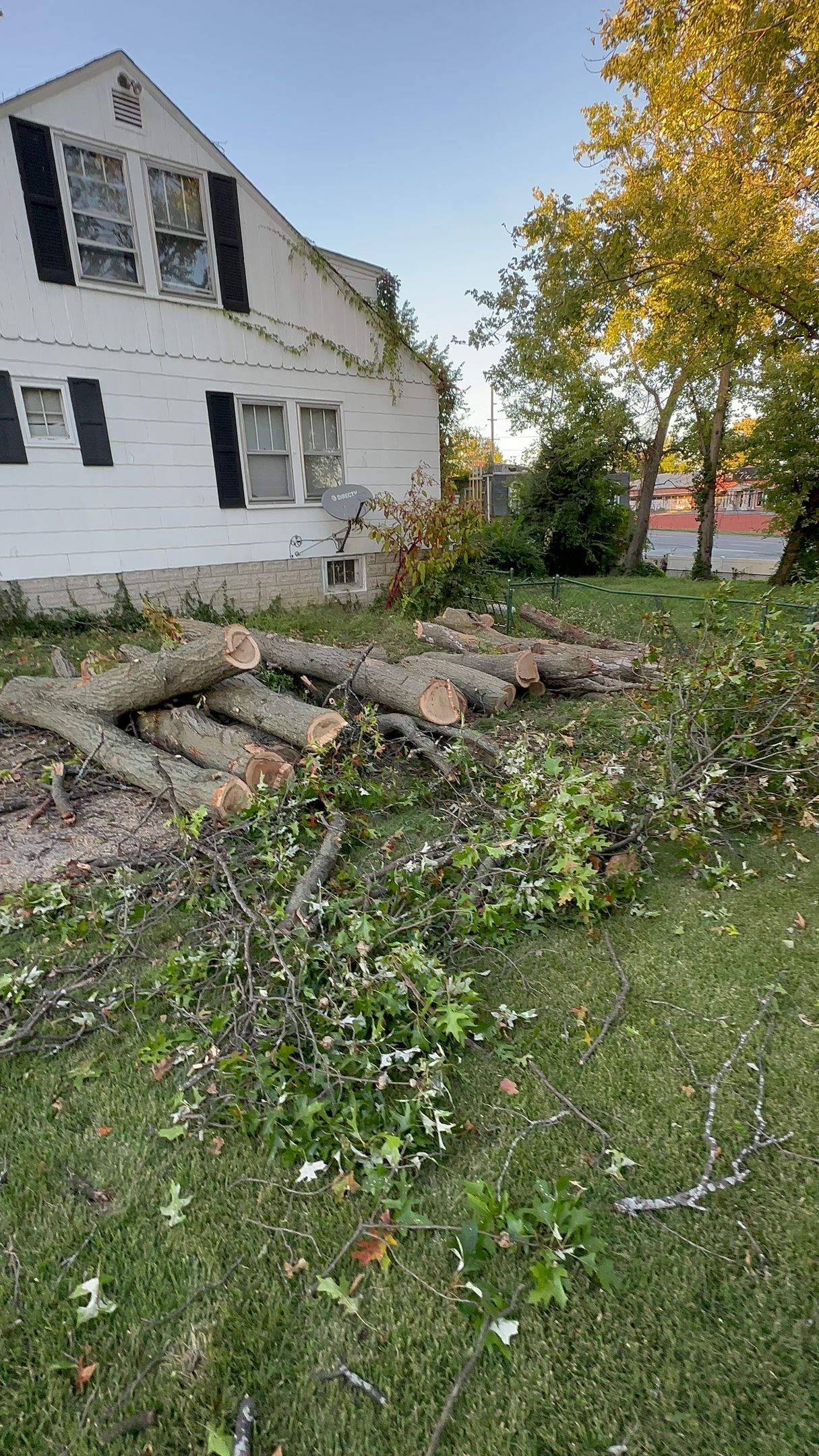 White house beside a storm-damaged yard with fallen tree limbs and broken branches in the grass
