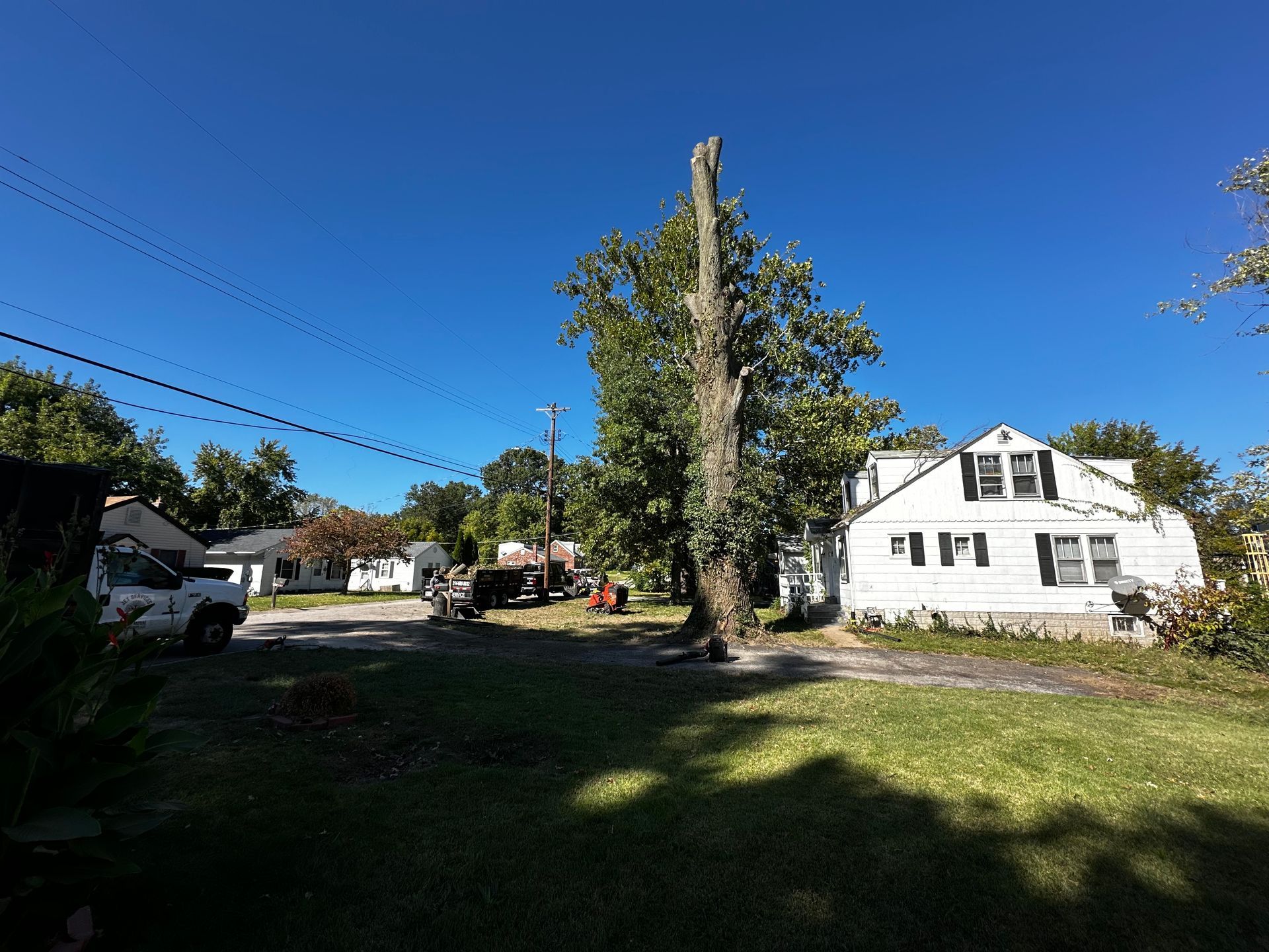 White farmhouse beside a tall tree and driveway under a clear blue sky, with a grassy yard in front