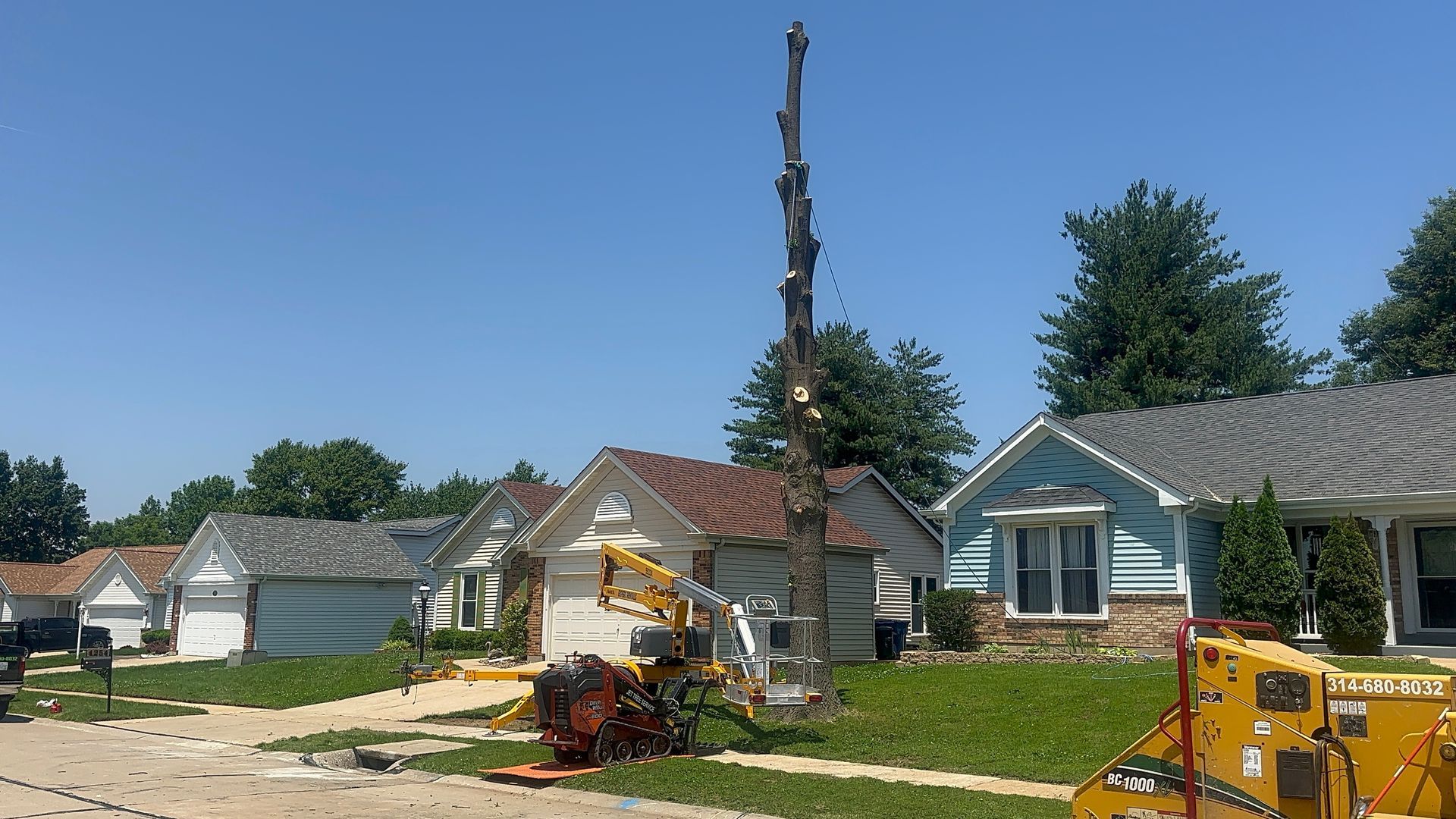 Residential street with a tree crew removing a tall tree beside houses and parked utility trucks.