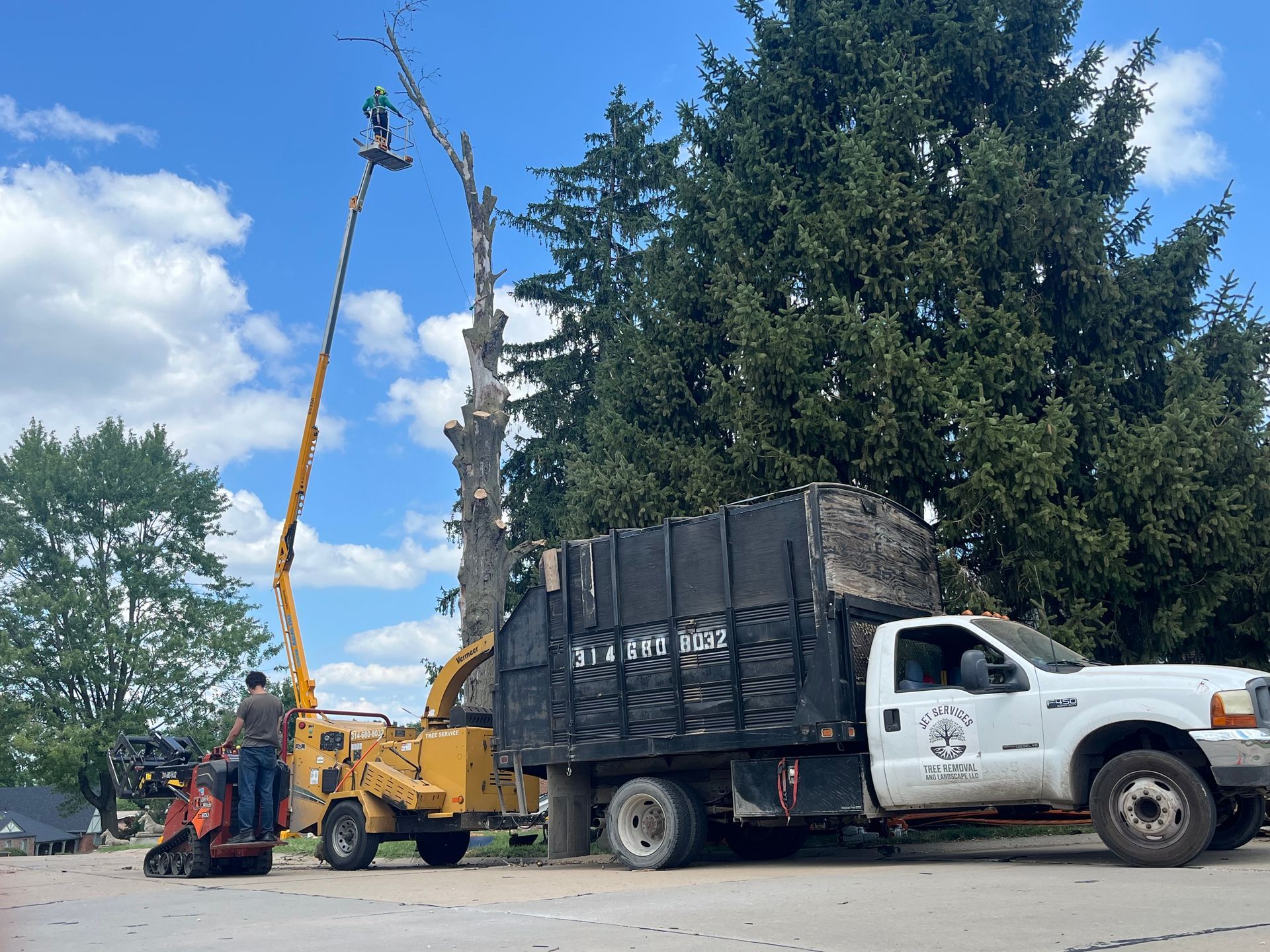 Tree crew using a crane to lift a large tree onto a white flatbed truck roadside under blue sky