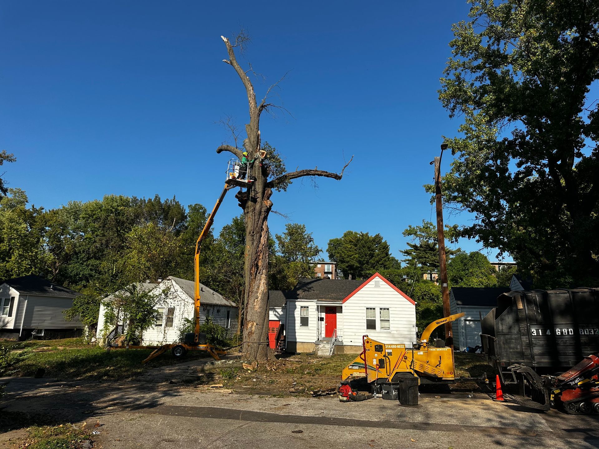 Tree removal equipment beside a cut tree in a yard with small white buildings and clear blue sky