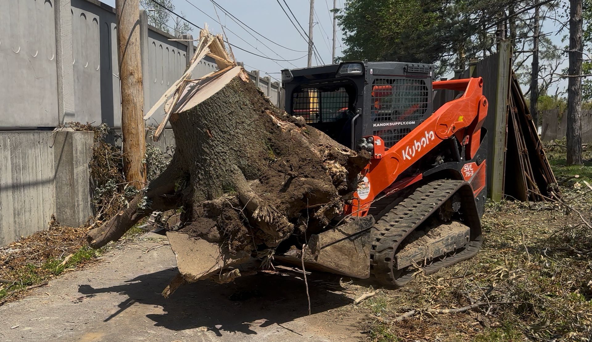 Orange skid steer lifting a large uprooted tree beside a fence and utility poles.