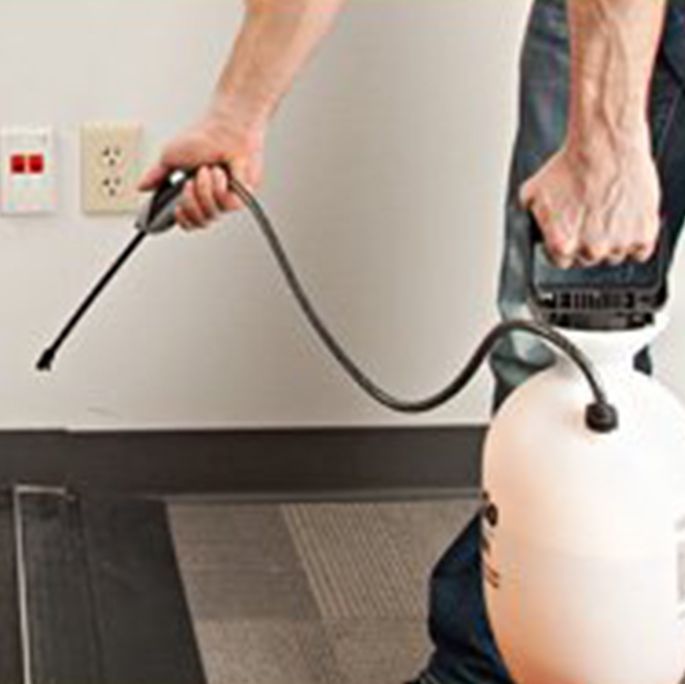 Pest Control Service