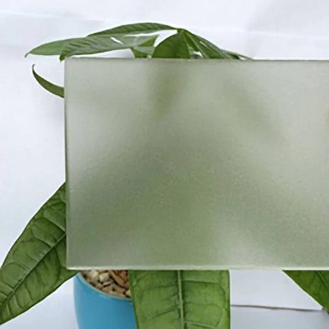 Frosted glass panel in front of a potted green plant with a blue pot.