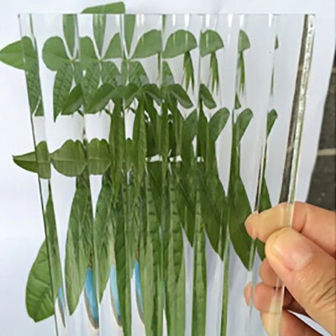 Hand holding a clear, corrugated plastic sheet, with green plants visible through it.