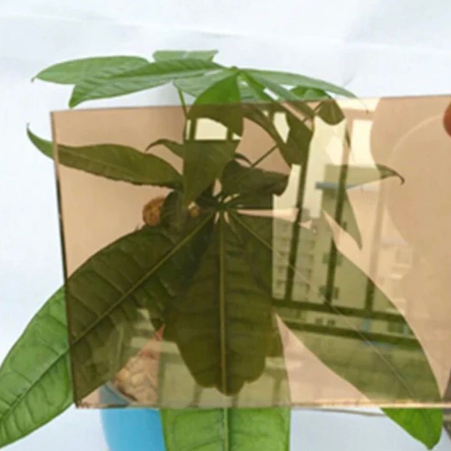 Brown tinted glass held in front of a green leafy plant; reflection of building visible.