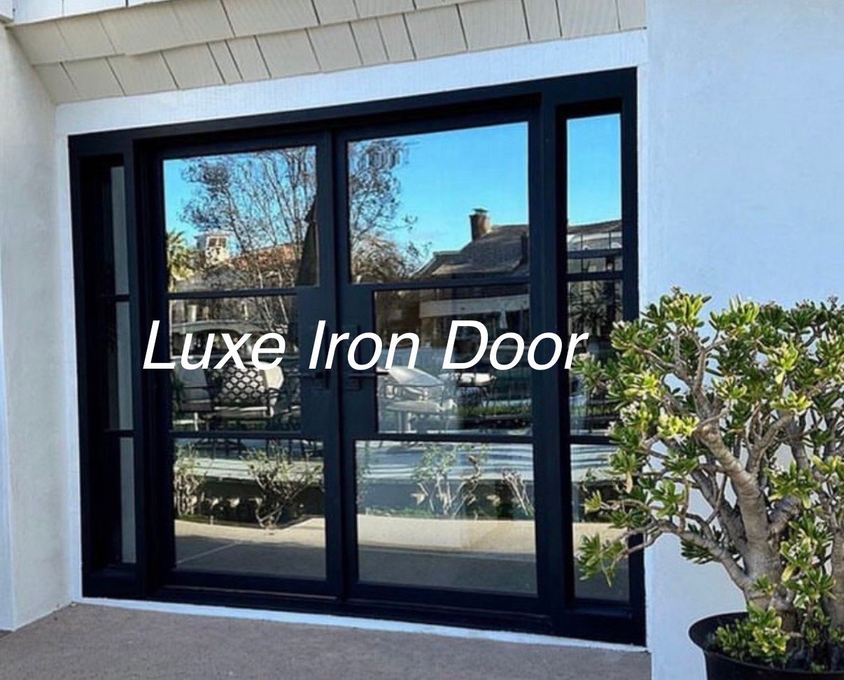 A modern black iron double door with glass panels and a sidelight, set against a white wall with a potted plant nearby.