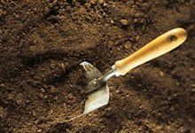 Garden tool in soil