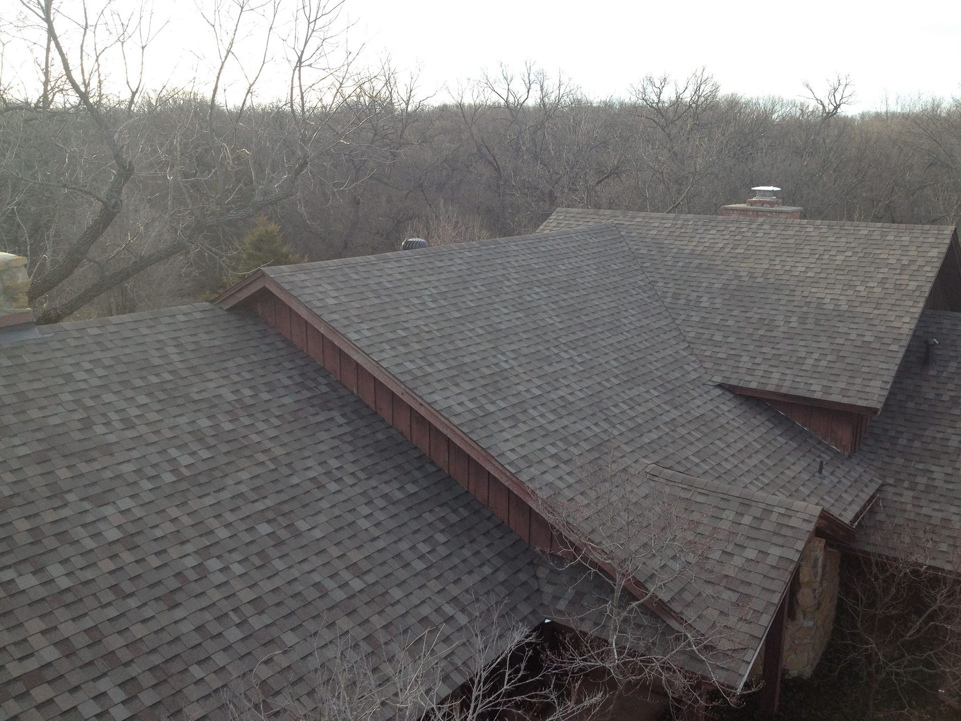 Dark asphalt shingle roof with brown trim, set against a background of bare trees and a dusky sky.