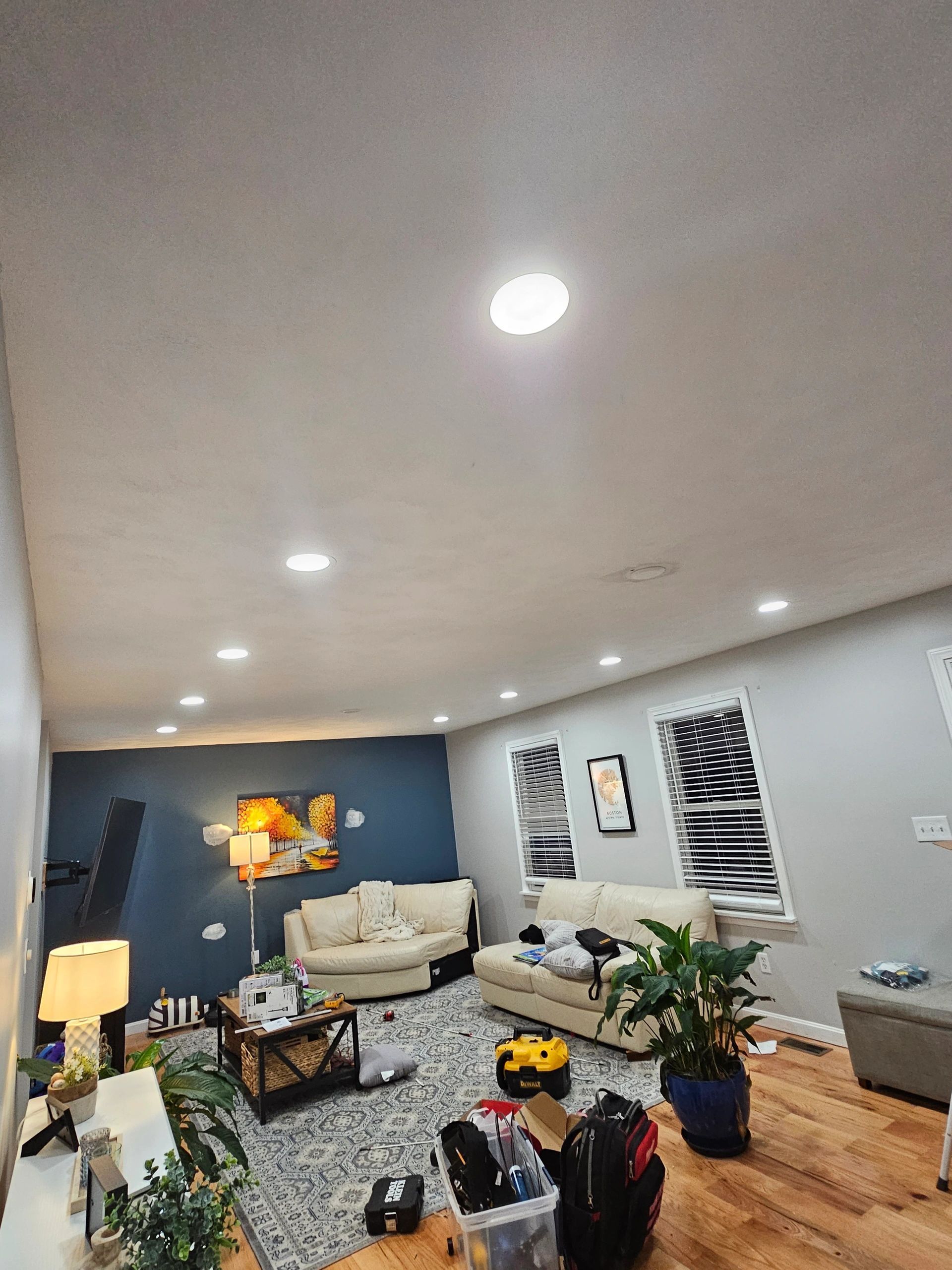 Living room with recessed lighting, blue accent wall, couches, artwork, rug, and plants.
