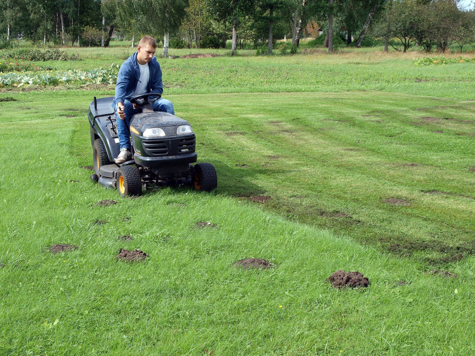 Citrus Sod Inc | Sod Installation Service | Inverness, FL