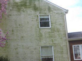 soft washing - before