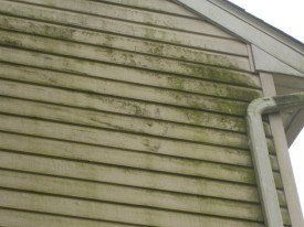 soft wash service - before