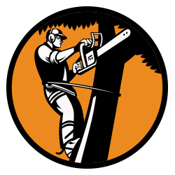Arborist using a chainsaw on a tree, wearing safety gear, orange and black circle.