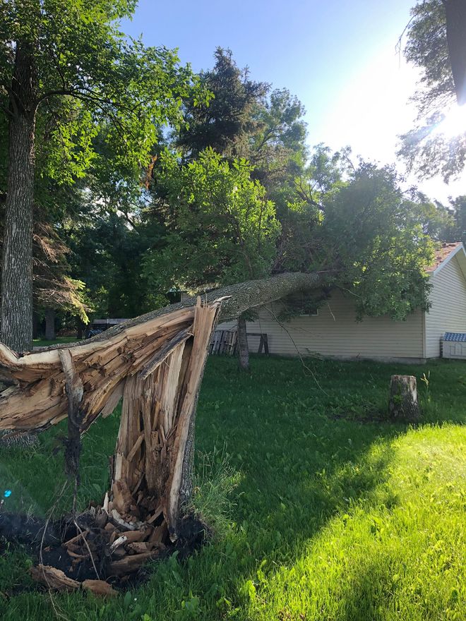 A fallen tree with a splintered trunk lying across a residential lawn, reaching toward the side of a house.