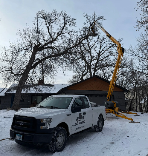 White truck with logo and yellow lift trimming tree branches in snowy yard.